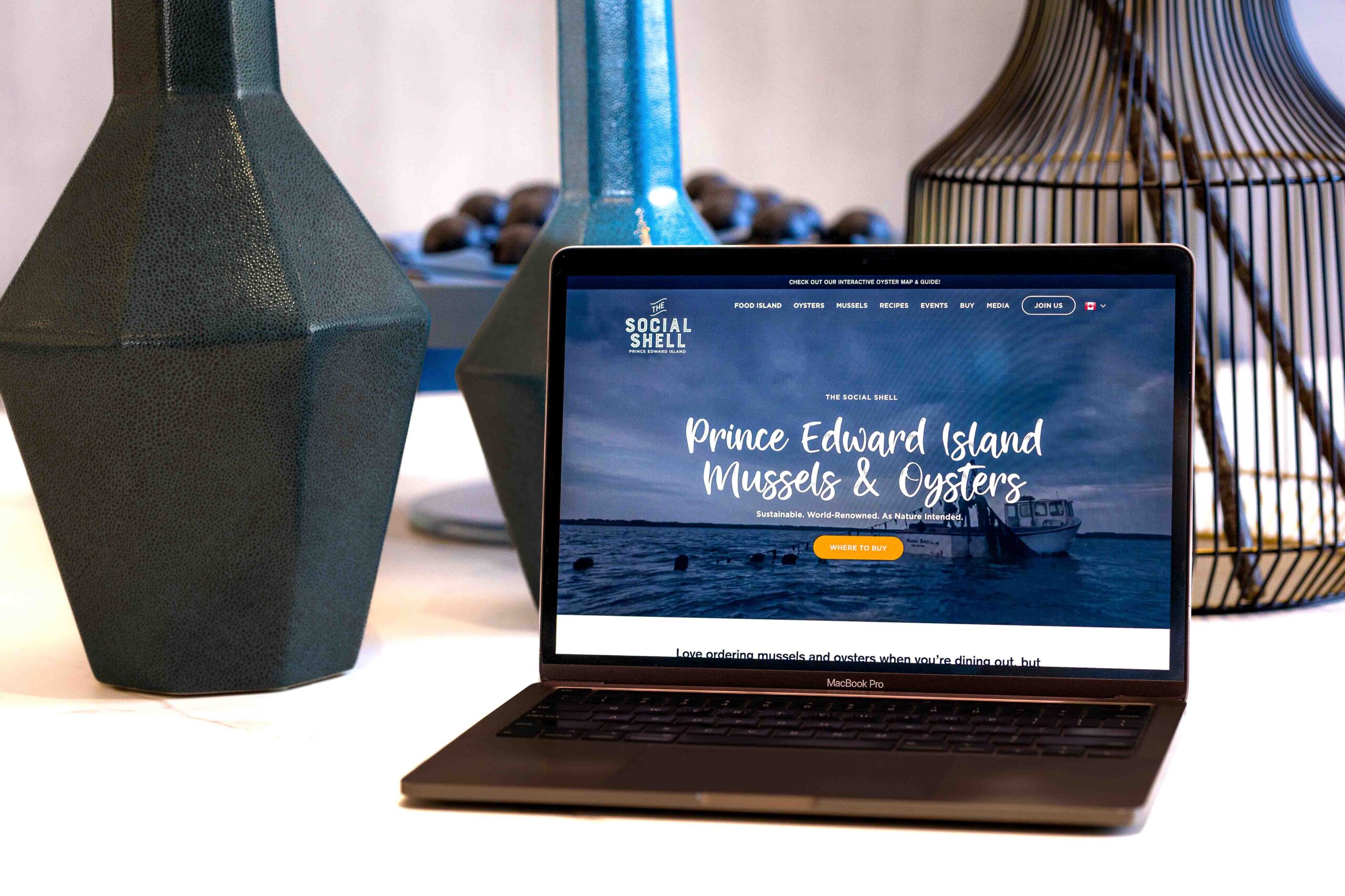 Lake Design Website Design, Photography, Videography, Branding in Prince Edward Island, Toronto and Victoria-4 The Social Shell website homepage shown on a laptop between blue and black vases